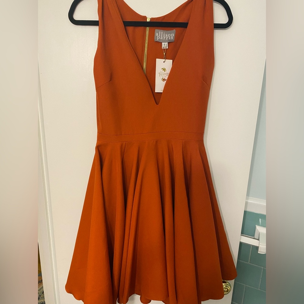 Allison Parris Burnt Orange Cocktail Dress